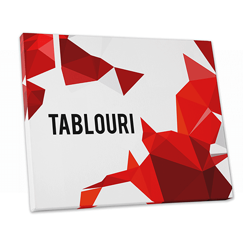 Tablouri - de la 19.66 LEI |  PRINTCENTER - Tipar digital, offset, indoor, outdoor